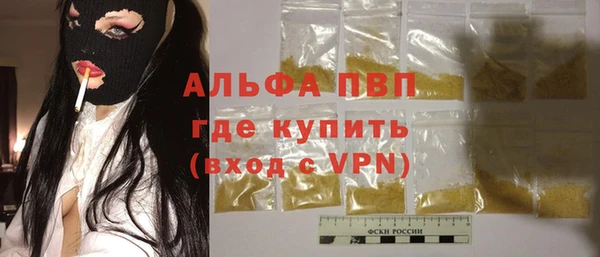 гашик Михайлов