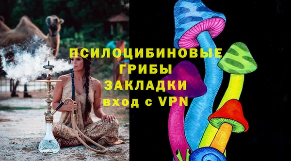 гашик Михайлов