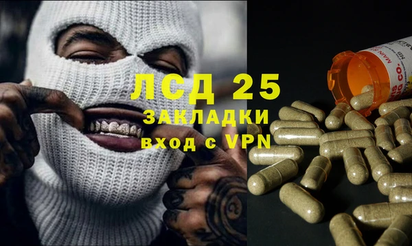 гашик Михайлов